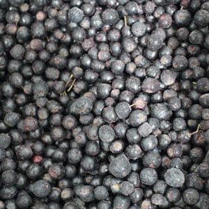 aronia